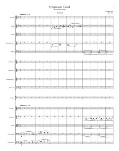 Symphonie h-moll I Seite 5