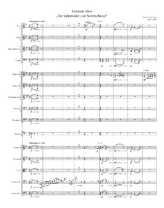 Fantasie homepSeite1_page-0001